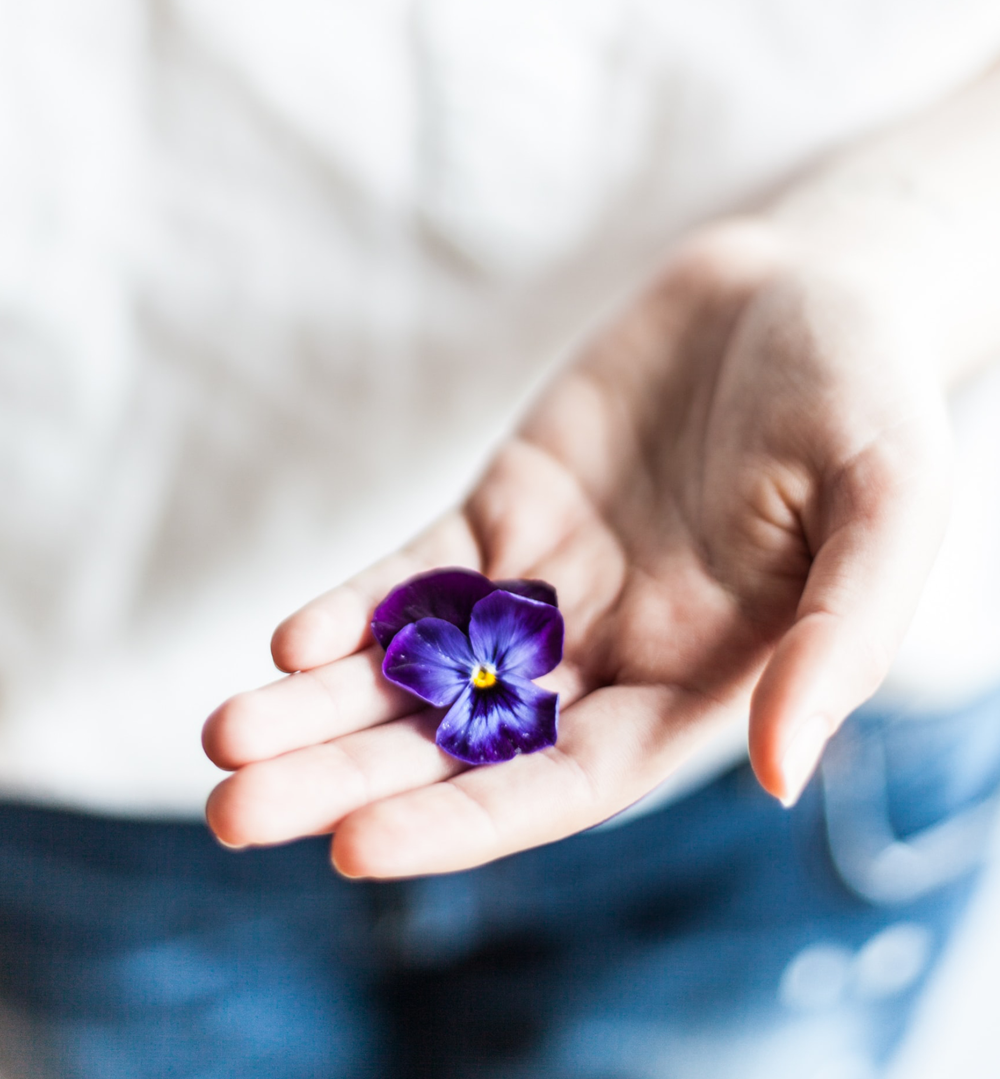 Hand mit Blume Hand mit Blume